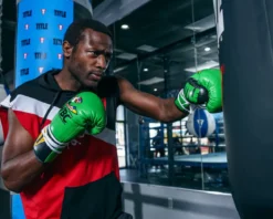 TITLE WBC Pro Fight Leather Gloves