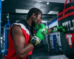 TITLE WBC Pro Fight Leather Gloves