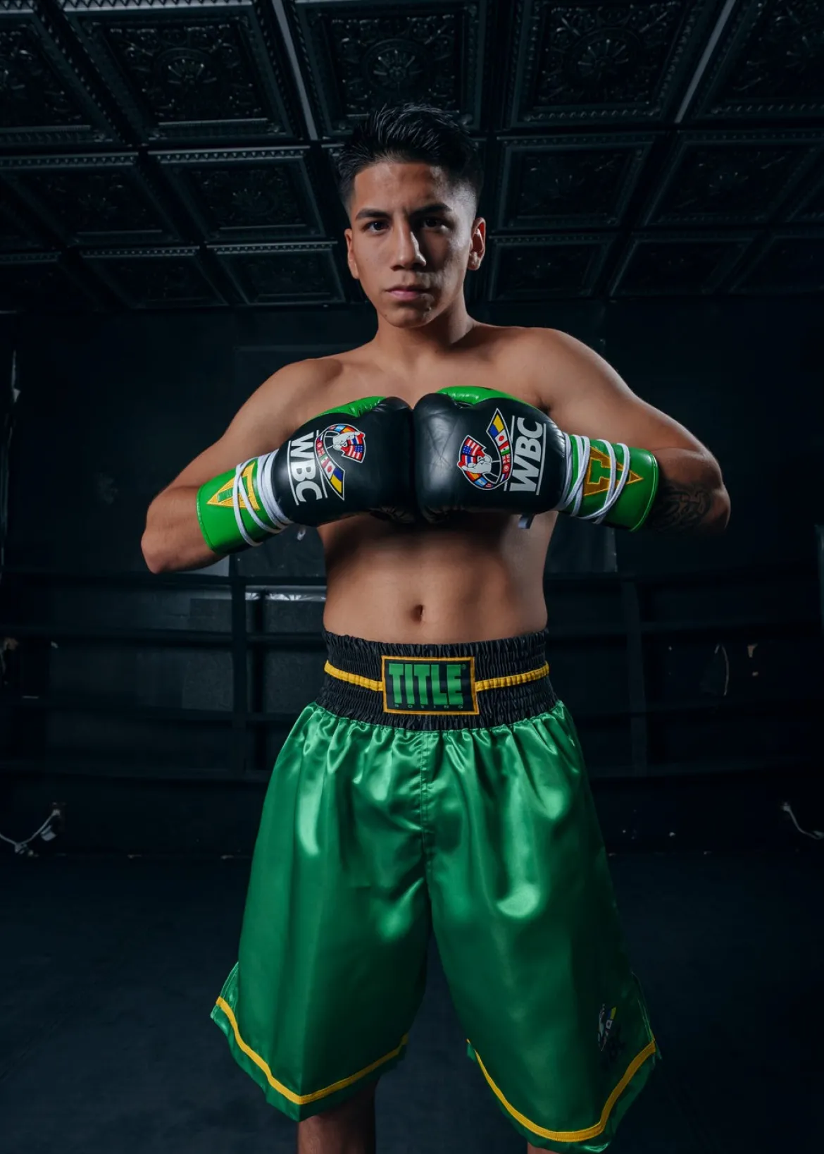 TITLE WBC Pro Fight Leather Gloves
